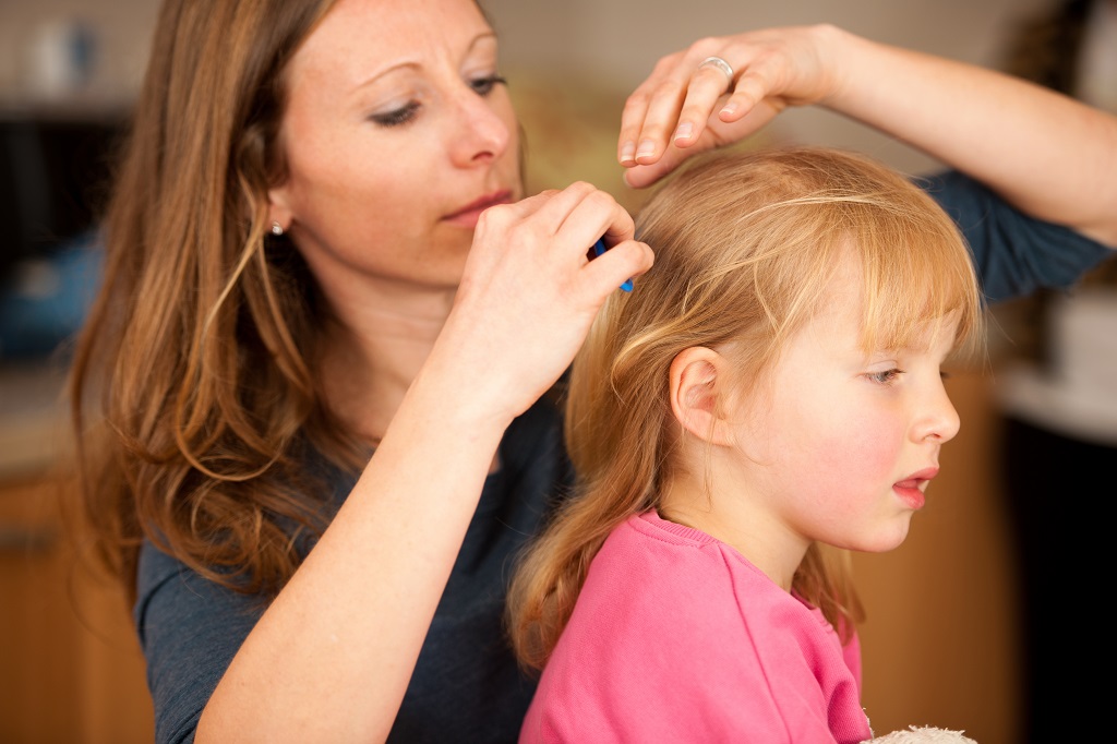 Do Lice Like Clean or Dirty Hair? LiceDoctors LiceDoctors